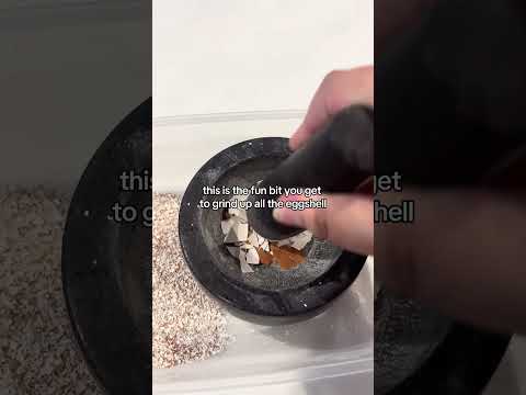 How to Make Black Salt for Protection |Witches Salt Recipe