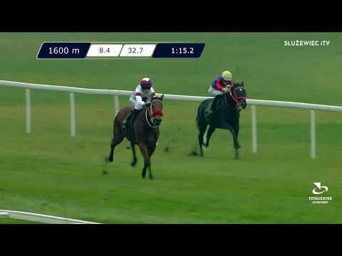 12.11.2022 - (Dzień 45; Gonitwa 4)