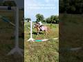 Trainer Mit Zu Hohen Erwartungen Horse Reiten Horseriding Pferde Equestrianjumping Pony