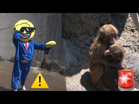 video de youtube