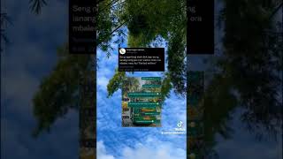 Download lagu story wa Aku kudu piye? mp3