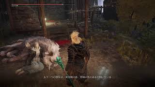 ELDEN RING　2週目を楽しむ♪(参加型　対人あり？)