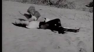 The Monochrome Set - Eine Symphonie des Grauens