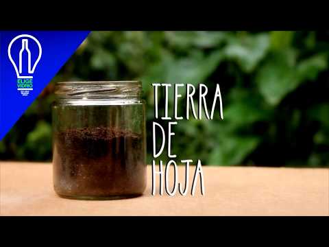 T5.E7 "Manualidades" Terrario