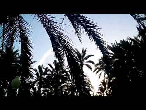 Reivax & MGZ - Antiguo testamento - [RVX. Prod's]