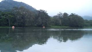 preview picture of video 'Lago Gatun and Gamboa Rainforest Resort'