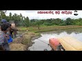 කොහොමද අලි ඇදිල්ල the elephant pulls a kubota tractor