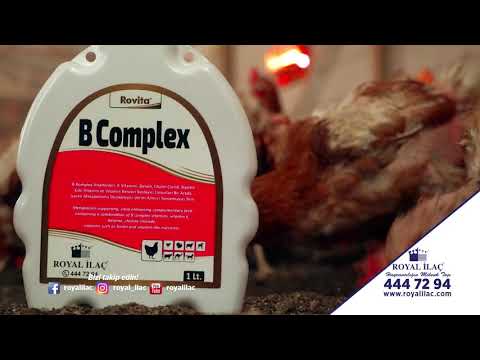 , title : 'Tavuklarda metabolizmayı destekleyen B kompleks vitaminleri B COMPLEX / Royal İlaç'