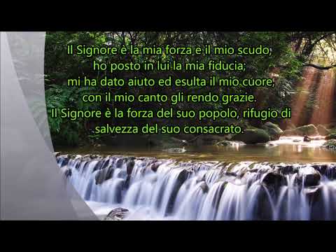 Presso i tuoi rivi di Elisabetta Zimmardi