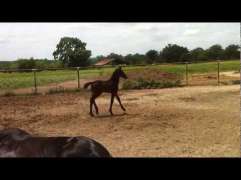 "Downton Abbey" 5.3.12