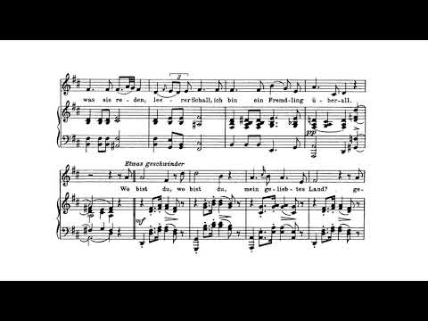 Der Wanderer(Schubert) 성악반주 Piano accompaniment