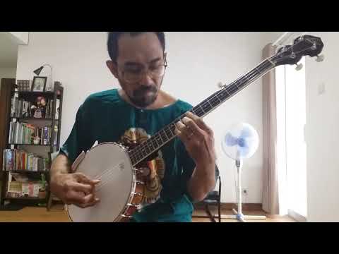 "Lonesome Mama Blues" - A Sloppy-Chinese-Knockoff of Fred Van Eps' Version