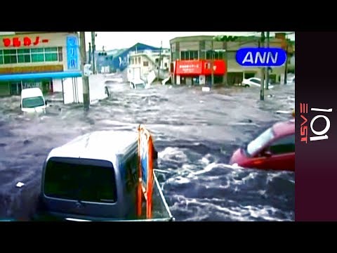 Fukushima Fallout