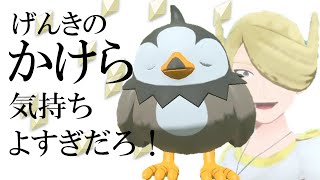 げんきのかけら999個あればムックルだけでウォロに勝てる説