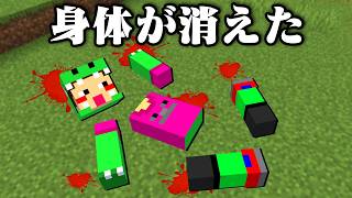 体が消えたマインクラフト【まいくら・マインクラフト】
