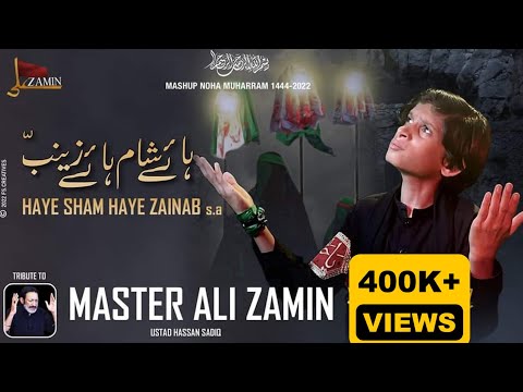Hassan Sadiq Old Kalam Collections | Hye Sham Hye Zainab sa Mashup Kalams By  Master Ali Zamin