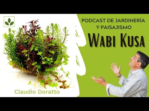 [SIMPLE Y FÁCIL] Wabi kusa, qué es y cómo hacer el tuyo