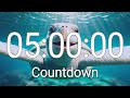 5 Hour Timer With Relaxing Music And Alarm
