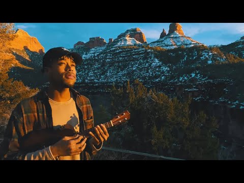 Neon Dreams - Life Without Fantasies (Ukulele) (Official Music Video)