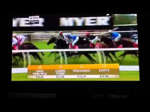 Emirates Melbourne Cup Race 2010 at Flemington Full Race & Results. Americain Wins! [HQ]