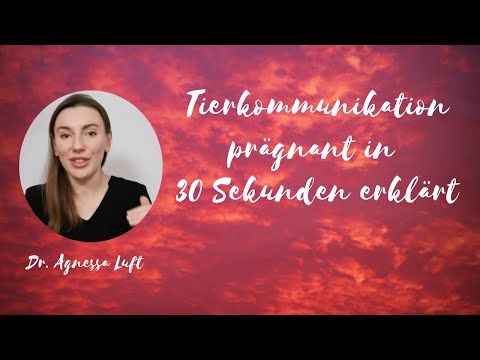 Wie funktioniert Tierkommunikation? In 30 Sekunden ganz simpel & prägnant erklärt – Dr. Agnessa Luft
