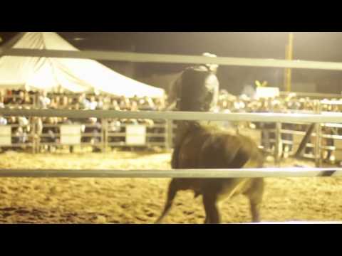Bull Mania 2014 - Extreme Bull Riding