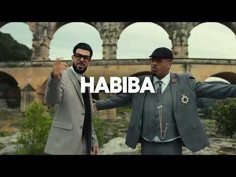 Tiakola x Dystinct x Soolking  Type Beat | Habiba | Instru Love Oriental 2023