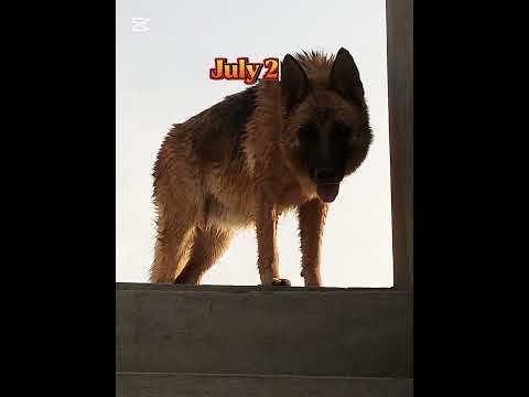 A prescious gen lost today 💔😓