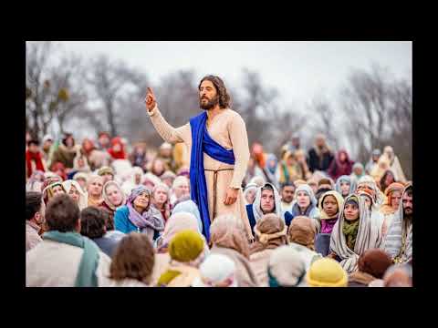 Fr. Mike Schmitz's comment on Matthew 13:24-30, the parable of the weeds #bibleinayear