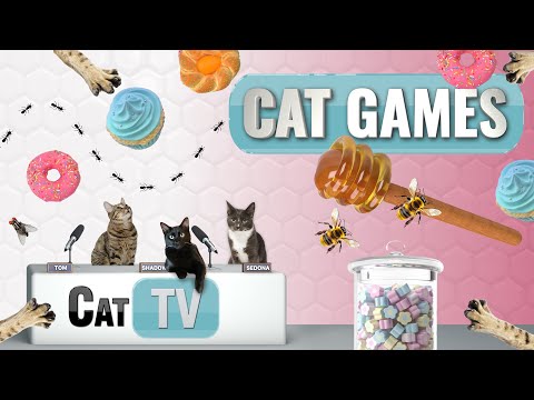 CAT Games | Sweet Adventure for Cats: Bug Buffet Bonanza! 🍭🐜🐾 | Bug Videos For Cats to Watch 😼