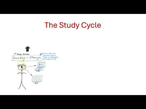 The study cycle and memory