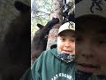 bear climbs hunters stand