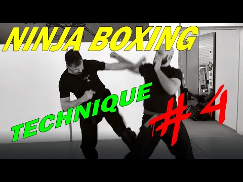 Ninja Boxing Technique #4: Use of Hicho no Kamae & Yoko Aruki