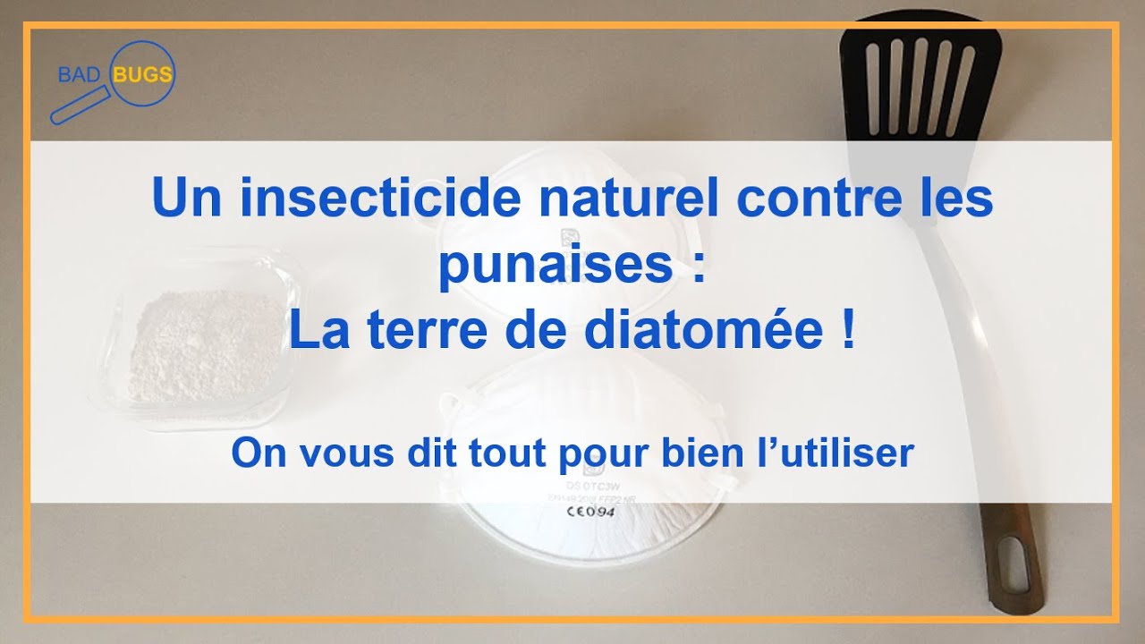 Tuto anti punaises : la terre de diatomée