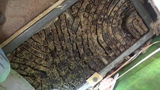 Bees in the closet of a fifth wheel camper