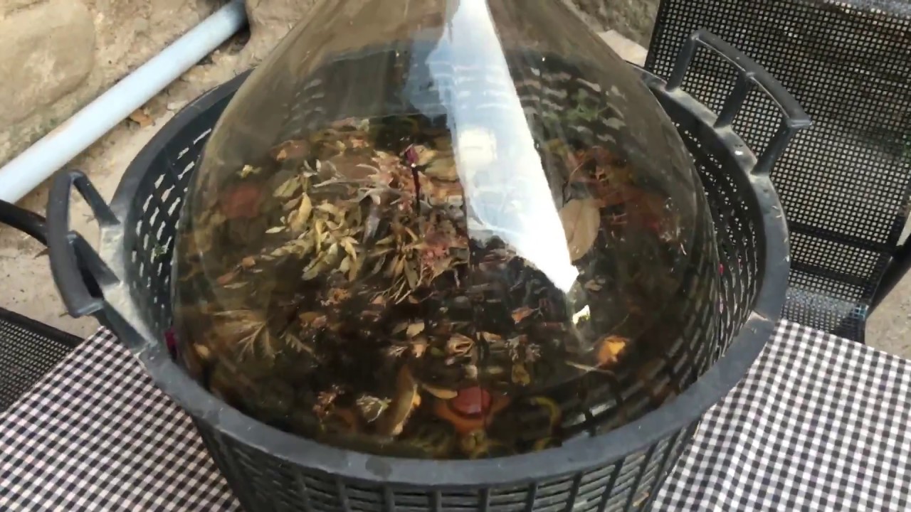 Como hacer ratafia
