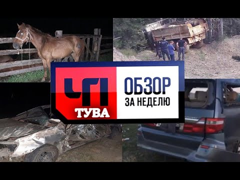 ЧП Тува Обзор за неделю - Новости Тыва и происшествия - от 02.08.2020