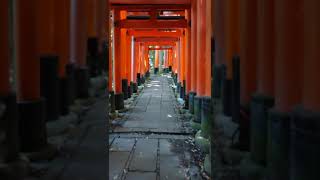 2021/08/27 伏見稲荷 熊鷹社手前〜四ツ辻 Fushimi Inari Shrine