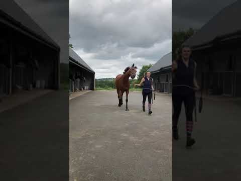 Video 3