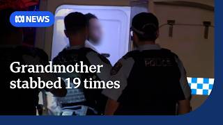 Three women killed in separate domestic violence incidents across New South Wales within 24 hours