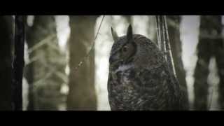 Kandle - All That I Need (Official Video)