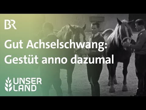 Gut Achselschwang: Gestüt anno dazumal | Unser Land | BR Fernsehen