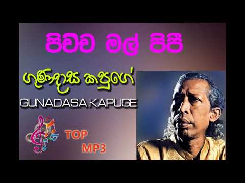 Pichcha Mal Pipi-GUNADASA KAPUGE