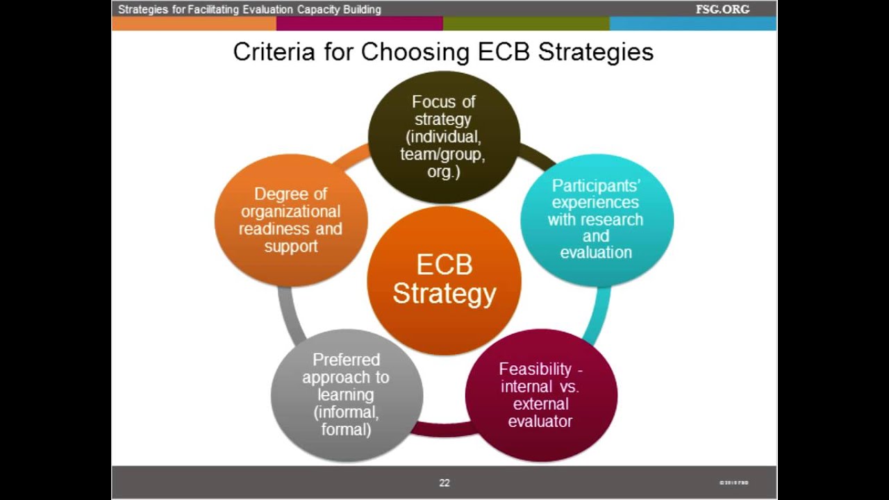 Exploring Effective Strategies for Facilitating Evaluation Capacity Development