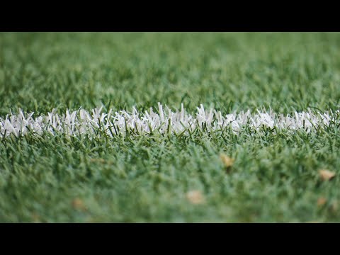 SV Bedum - Plannen nieuw kunstgrasveld