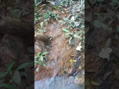 cachoeira da região de Orizona, Goiás