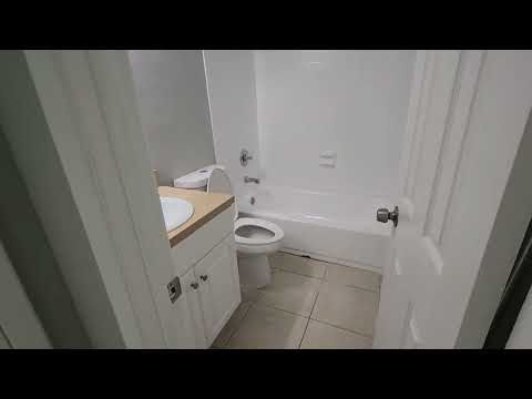 Golden Palms - Video 2 of 2