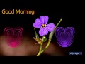 Good Morning Video