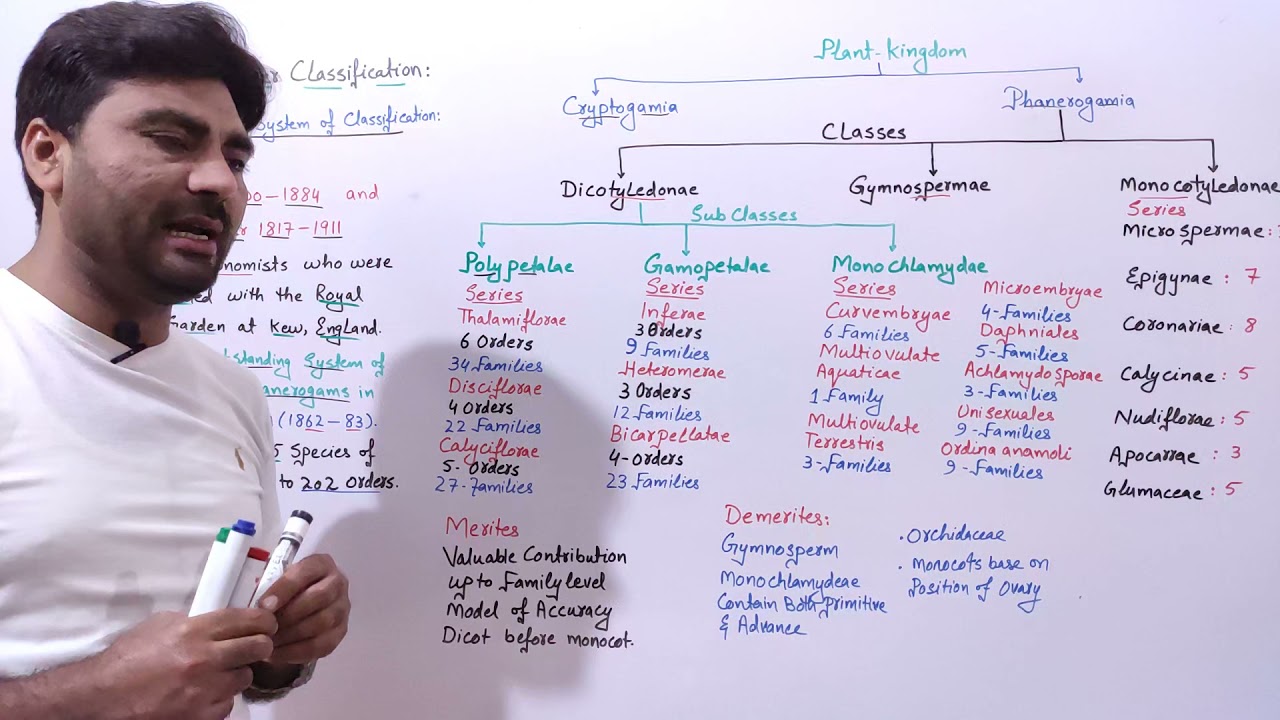 Watch video Bentham and Hooker's Classification System | Natural Classification @biologywithmuhammadsajid Now Bentham and Hooker's Classification System | Natural Classification @biologywithmuhammadsajid