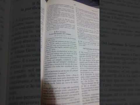 Il fico seccato, la purificazione del tempio.